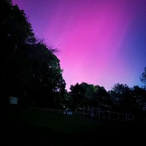 Meet your Posher, Tia